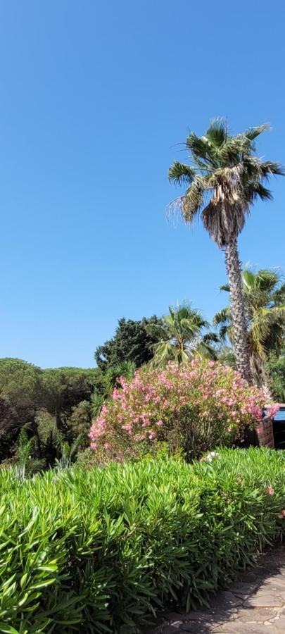Villa Palm' Issambres 6-7 Personnes, Clim, Avec Piscine, Jardin Et Parking Prives La Garonnette-Plage 외부 사진