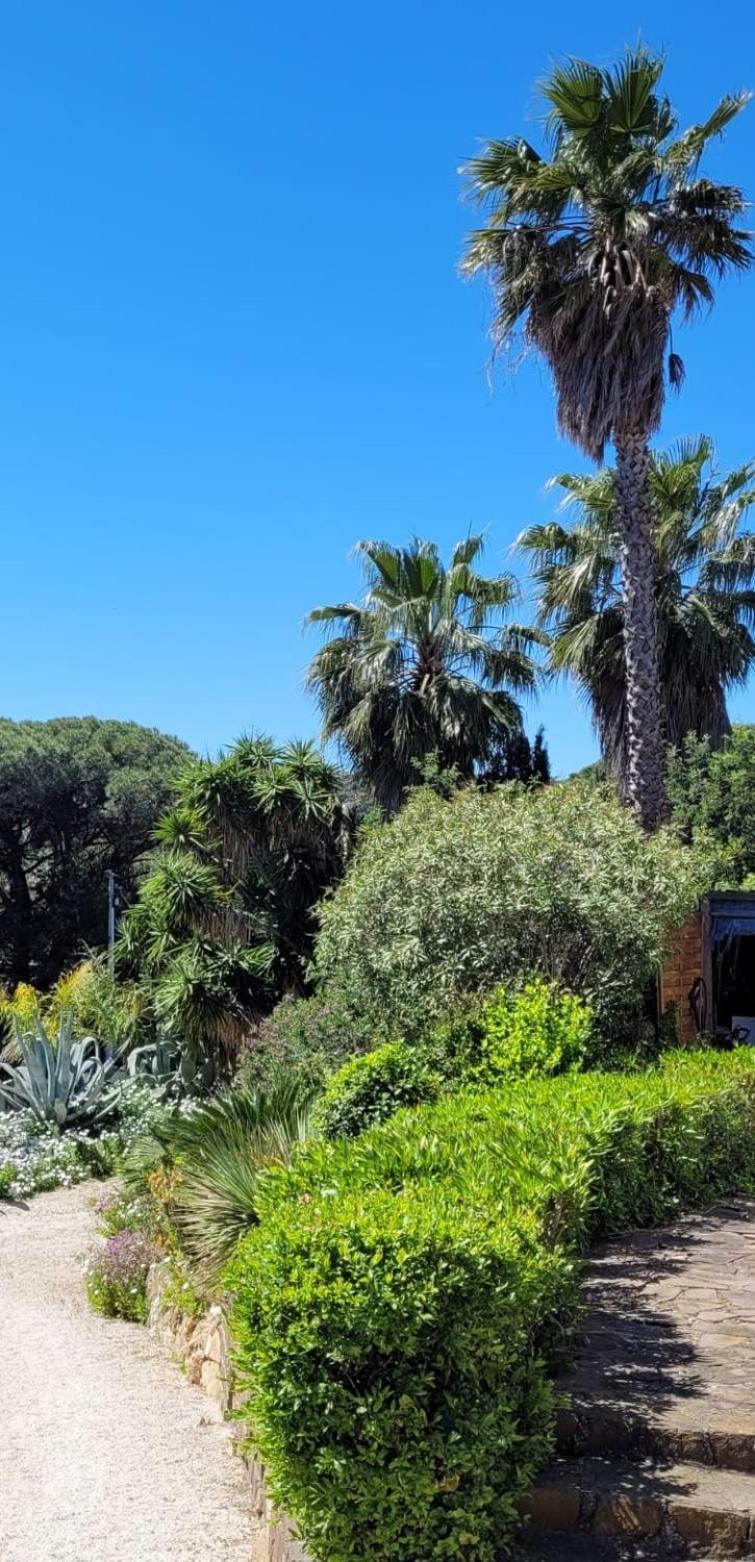 Villa Palm' Issambres 6-7 Personnes, Clim, Avec Piscine, Jardin Et Parking Prives La Garonnette-Plage 외부 사진